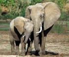 Мама управления слоненка с помощью своего ствола